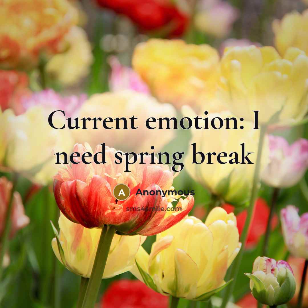 “Current emotion: I need spring break” quote by Anonymous