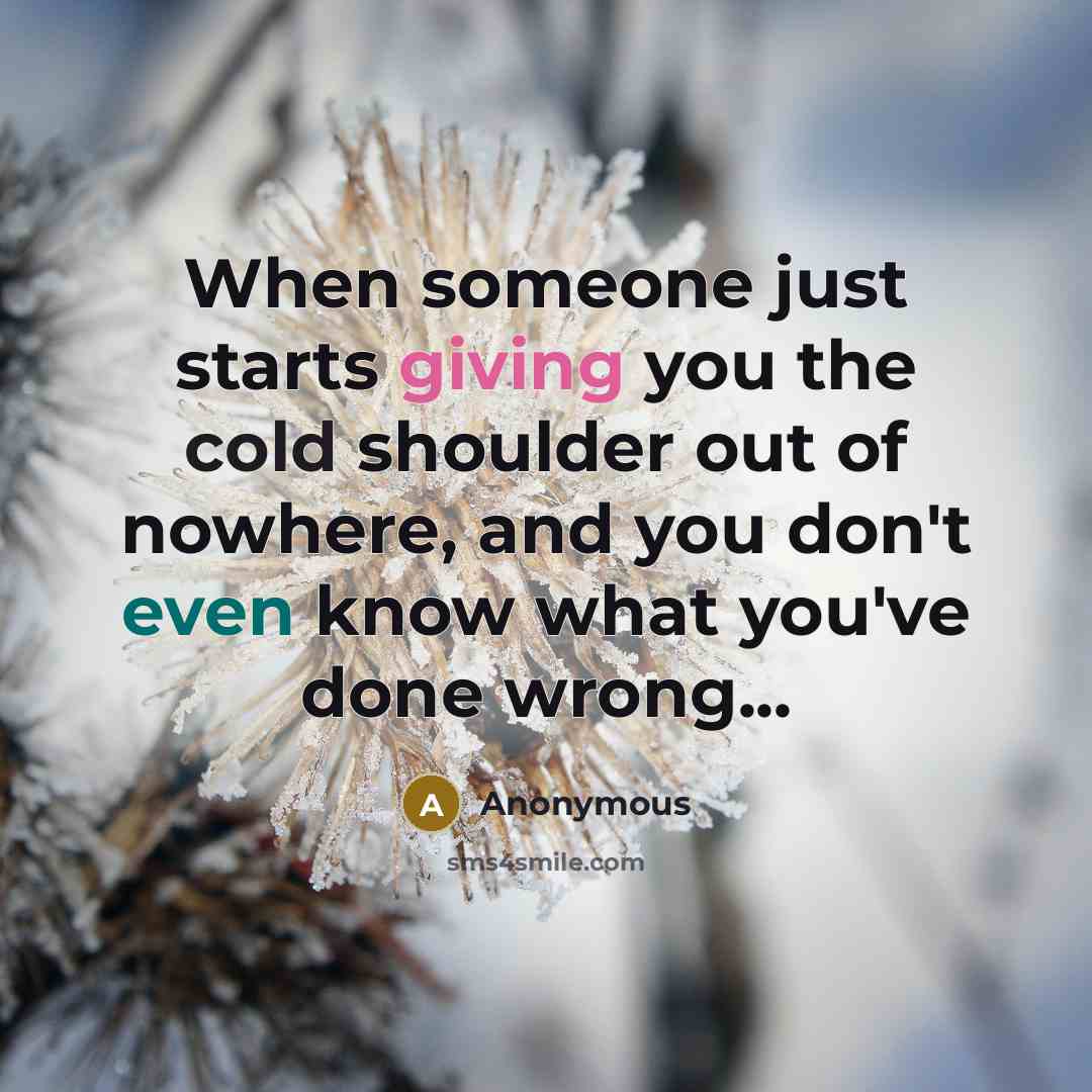 “When someone just starts giving you the cold shoulder out of nowhere, and you don't even know what you've done wrong...” quote by Anonymous