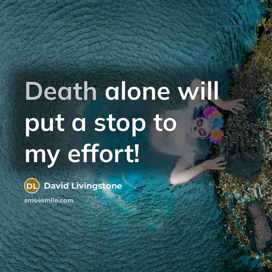 “Death alone will put a stop to my effort!…” quote by David Livingstone
