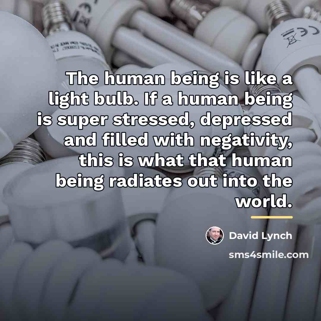 “The human being is like a light bulb. If a…” quote by David Lynch