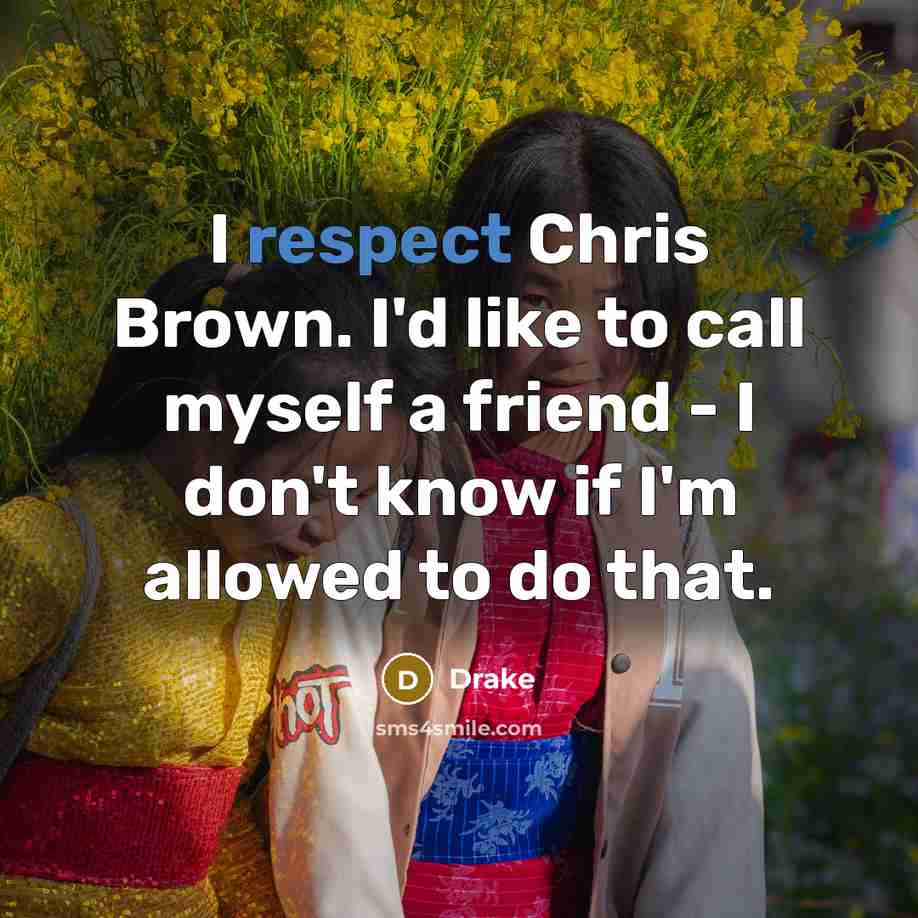 “I respect Chris Brown. I'd like to call myself a…” quote by Drake