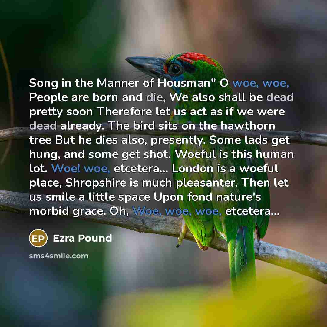“Song in the Manner of Housman" O woe, woe, People…” quote by Ezra Pound