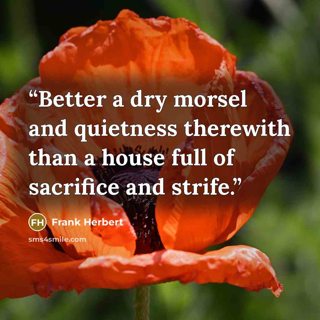“Better a dry morsel and quietness therewith than a house full of sacrifice and strife.” quote by Frank Herbert