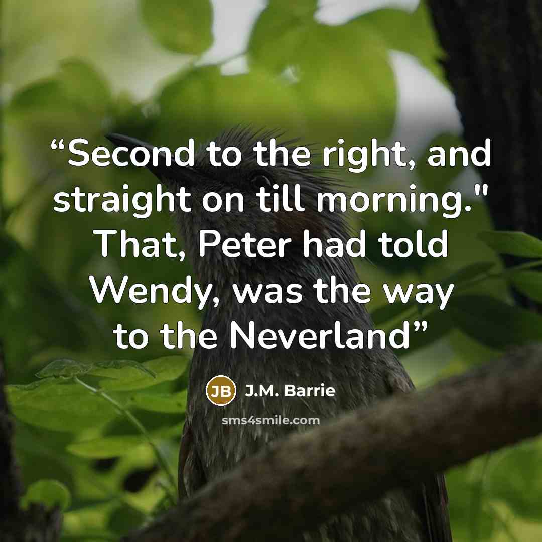 “Second to the right, and straight on till morning." That, Peter had told Wendy, was the way to the Neverland” quote by J.M. Barrie