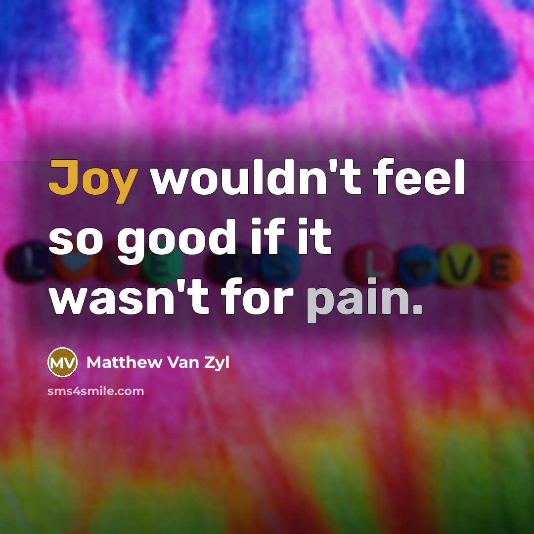 “Joy wouldn't feel so good if it wasn't for pain.…” quote by Matthew Van Zyl