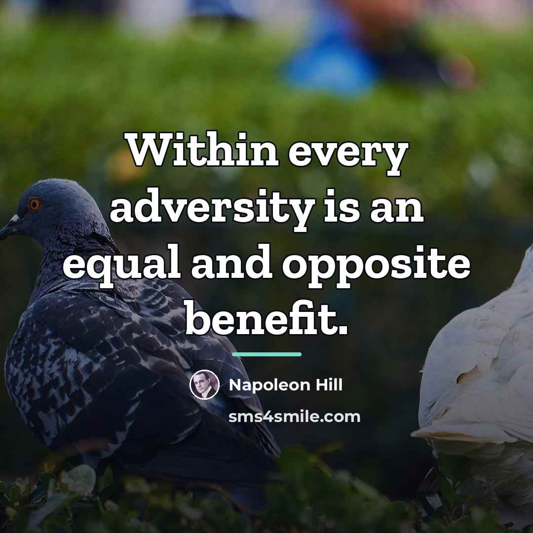 “Within every adversity is an equal and opposite benefit.…” quote by Napoleon Hill