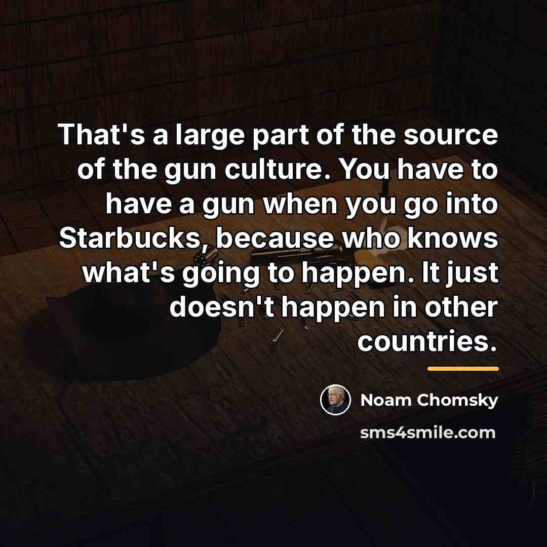 “That's a large part of the source of the gun…” quote by Noam Chomsky