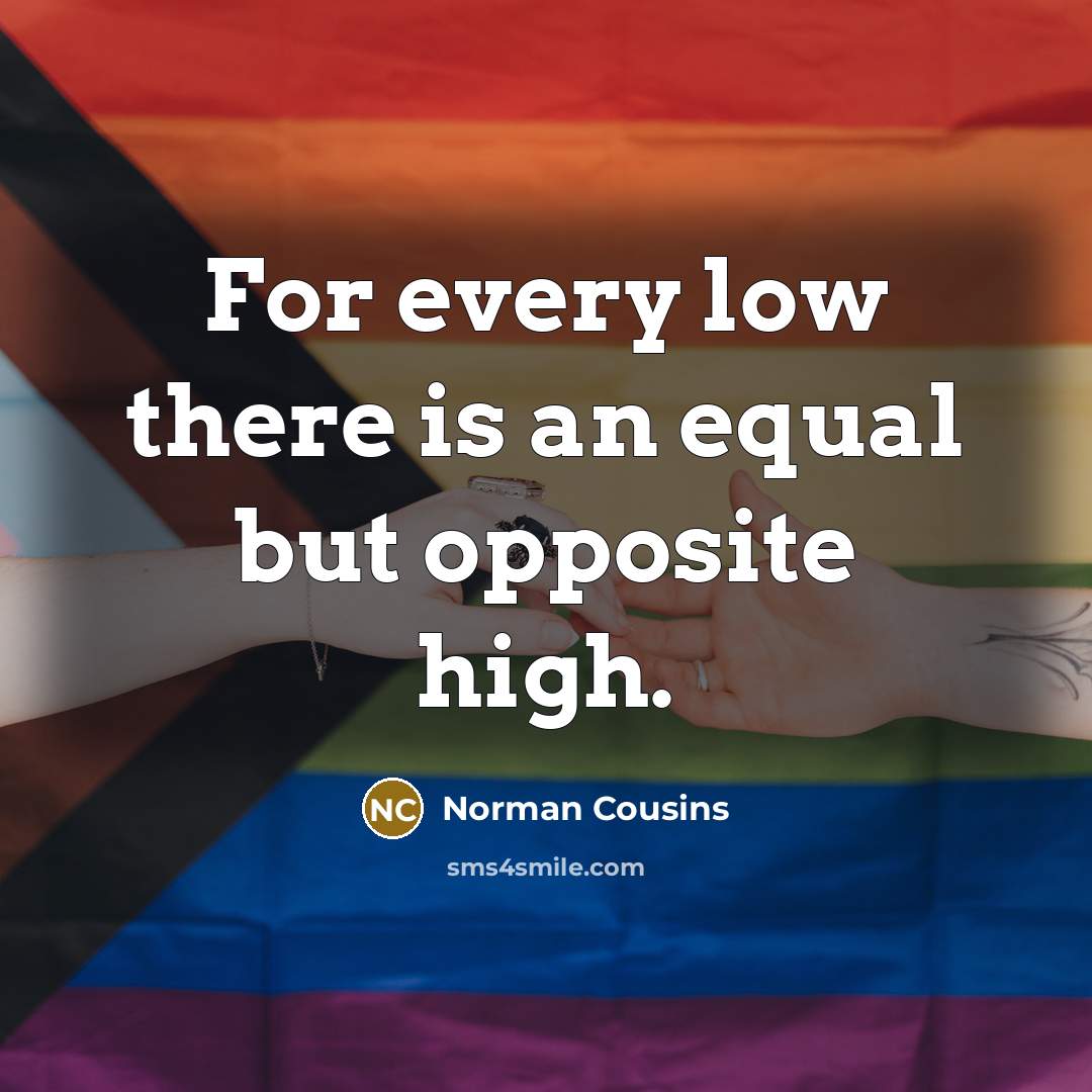 “For every low there is an equal but opposite high.…” quote by Norman Cousins