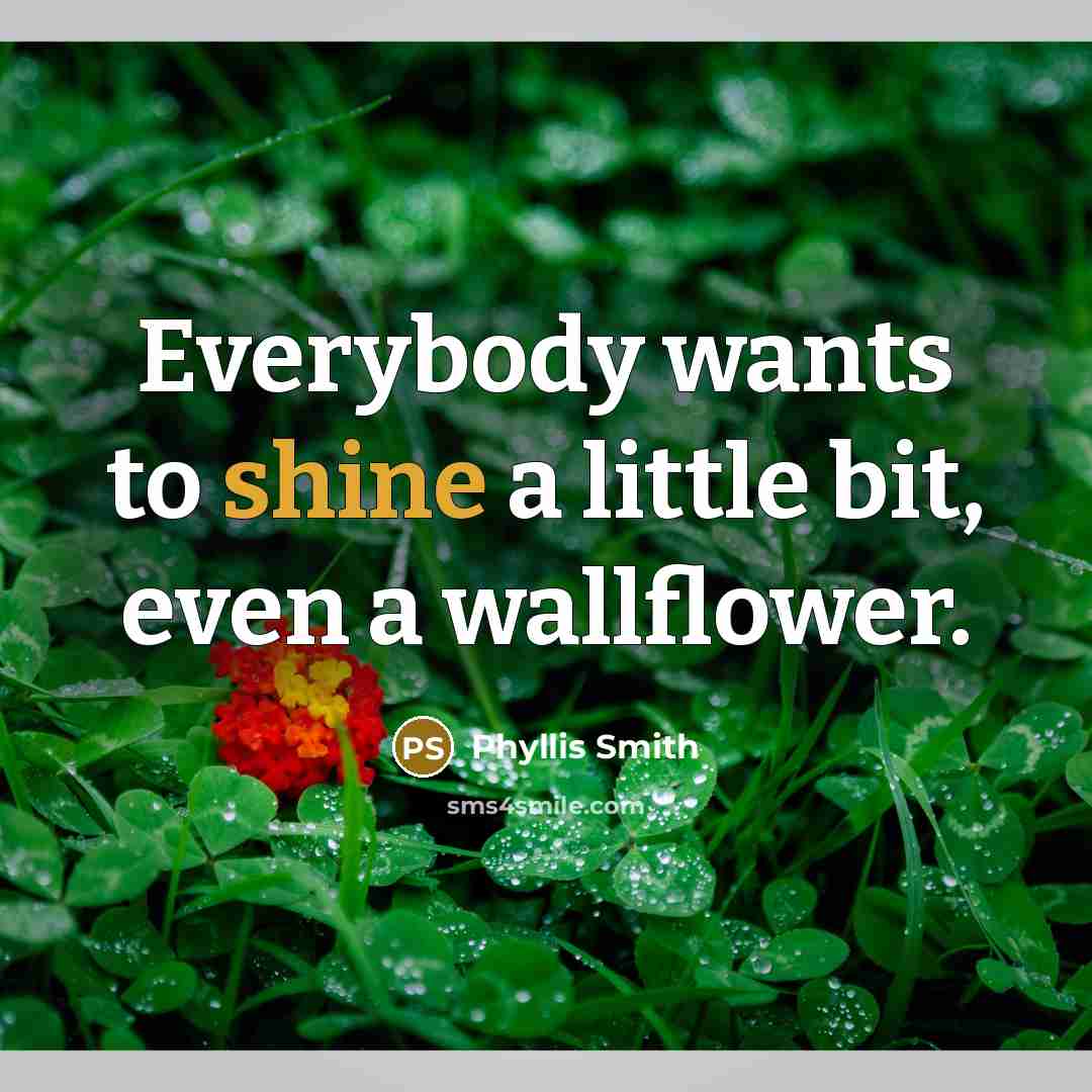 “Everybody wants to shine a little bit, even a wallflower.…” quote by Phyllis Smith
