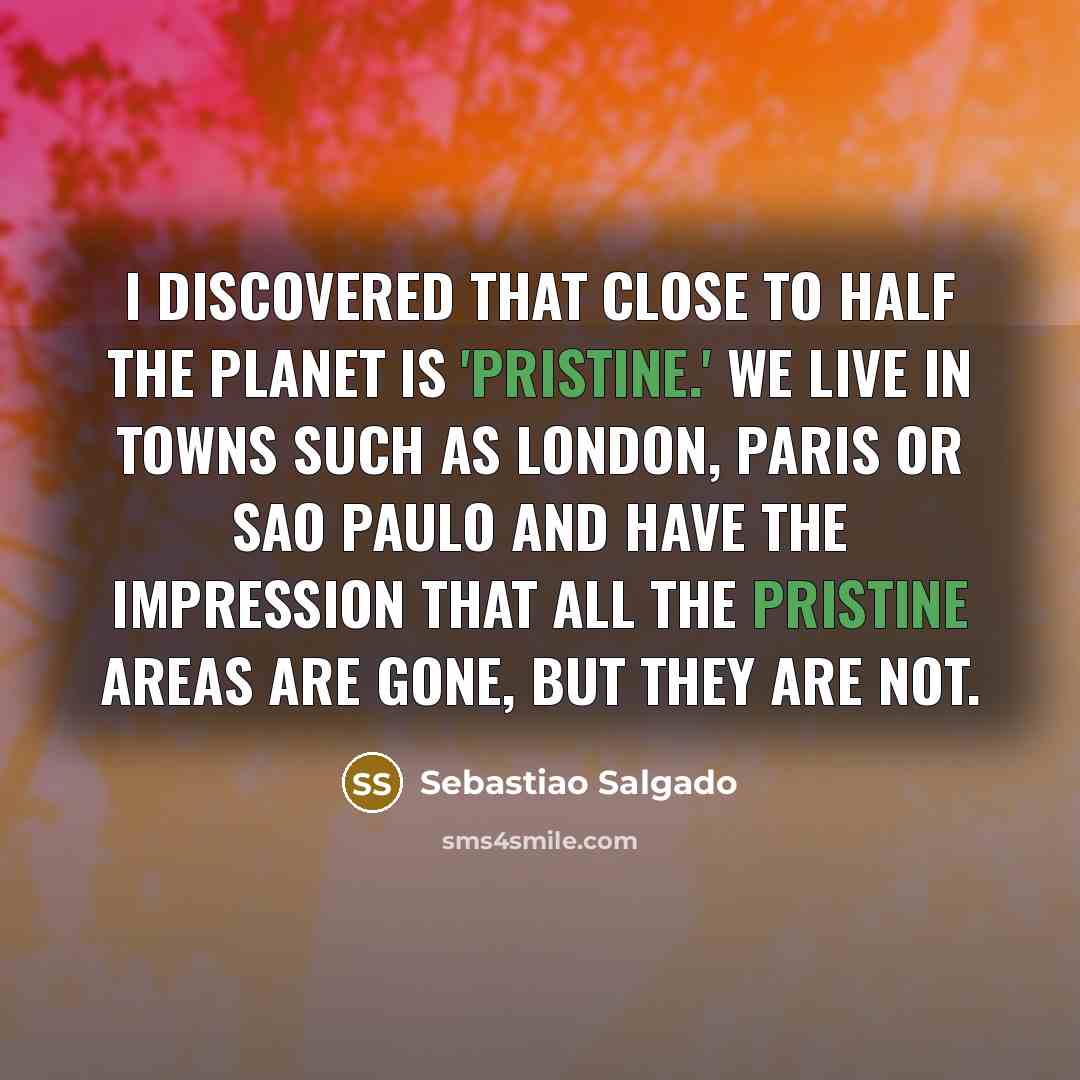 “I discovered that close to half the planet is 'pristine.'…” quote by Sebastiao Salgado