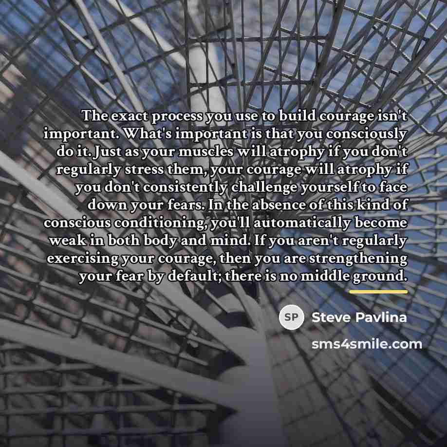 “The exact process you use to build courage isn't important.…” quote by Steve Pavlina