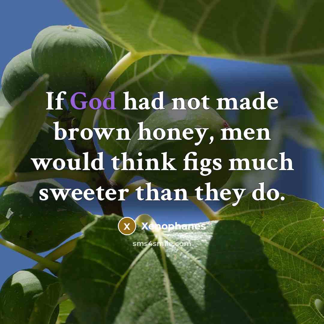 “If God had not made brown honey, men would think…” quote by Xenophanes