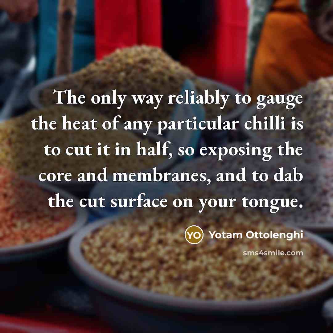 “The only way reliably to gauge the heat of any…” quote by Yotam Ottolenghi