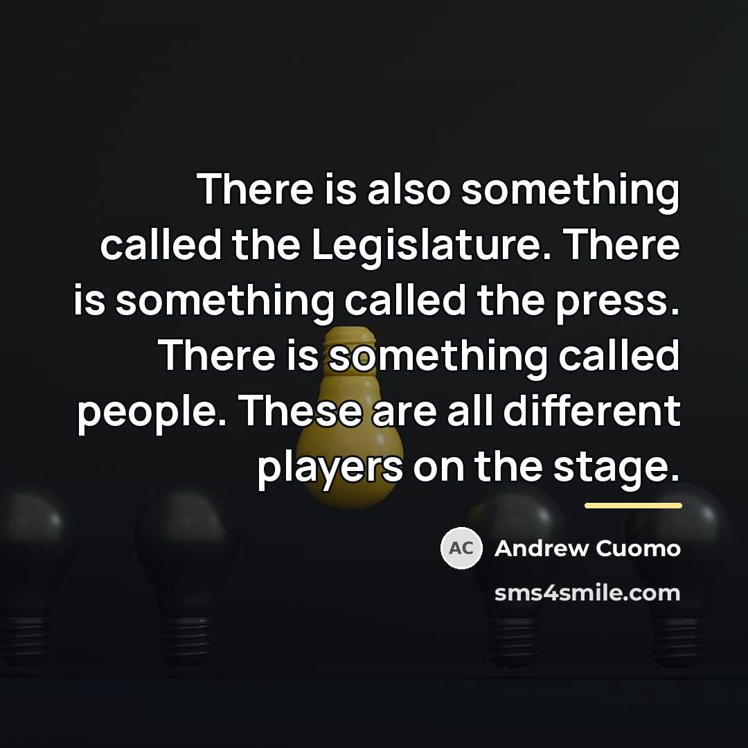 “There is also something called the Legislature. There is something…” quote by Andrew Cuomo