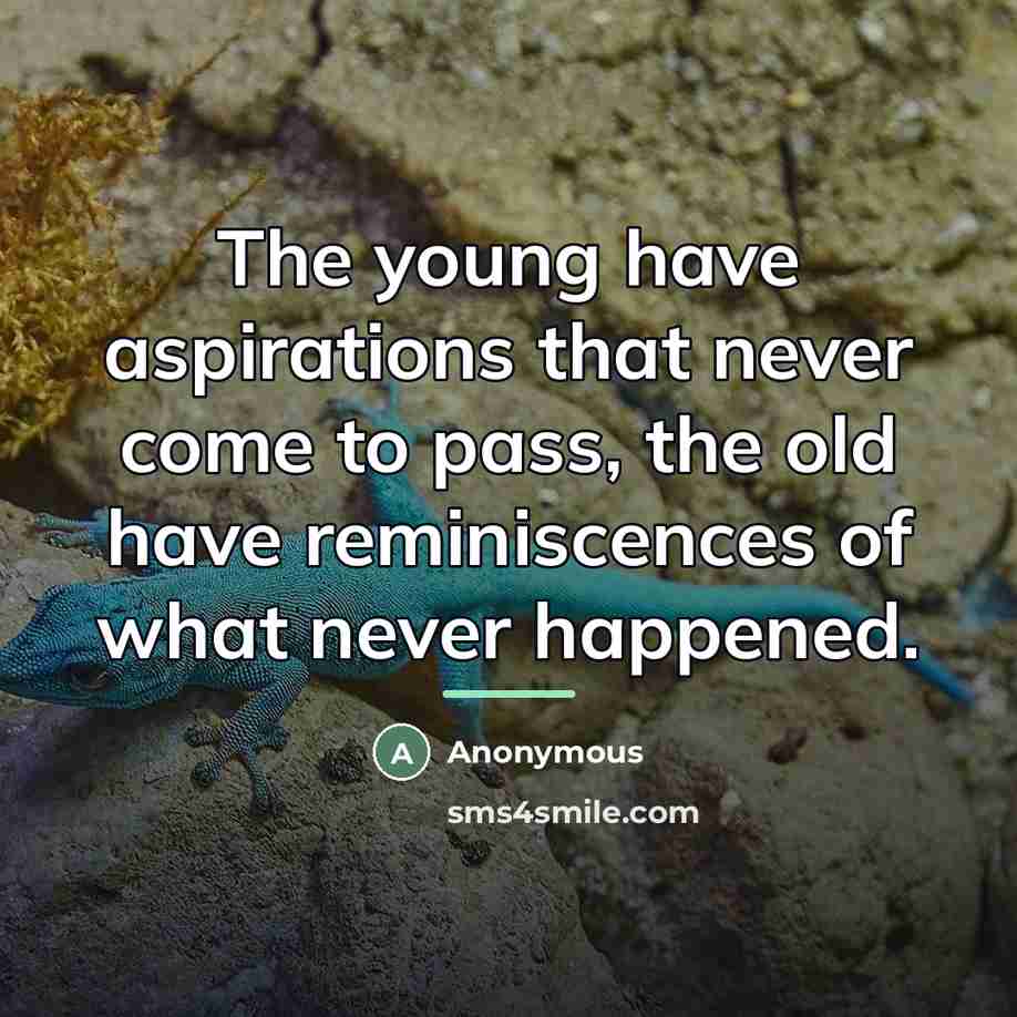 “The young have aspirations that never come to pass, the…” quote by Anonymous