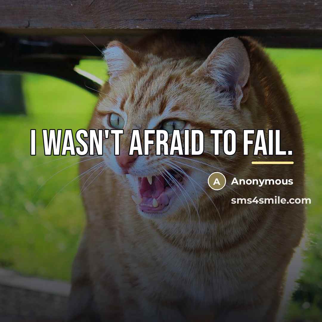 “I wasn't afraid to fail.…” quote by Anonymous