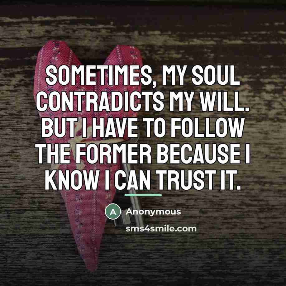 “Sometimes, my soul contradicts my will. But I have to…” quote by Anonymous