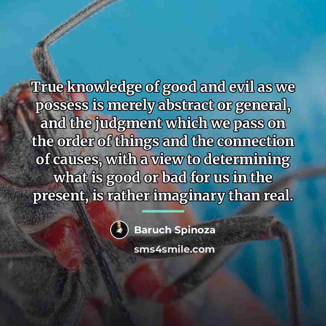 “True knowledge of good and evil as we possess is…” quote by Baruch Spinoza