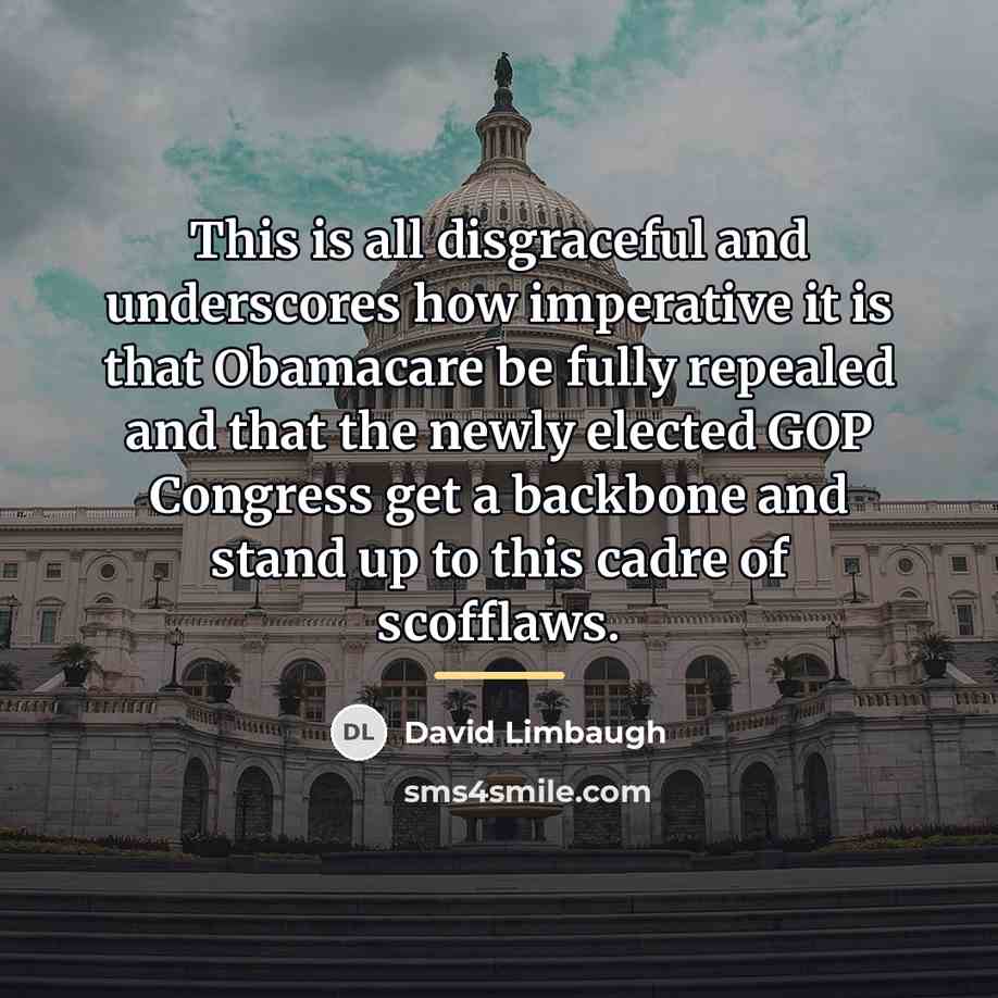 “This is all disgraceful and underscores how imperative it is…” quote by David Limbaugh