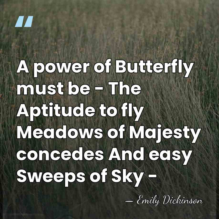 A power of Butterfly must be - The Aptitude to fly Meadows&hellip; - Emily Dickinson