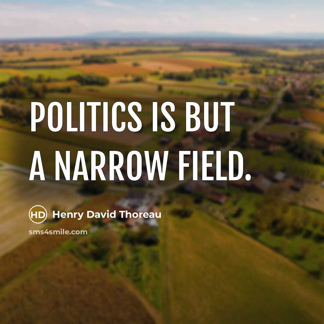 “Politics is but a narrow field.…” quote by Henry David Thoreau
