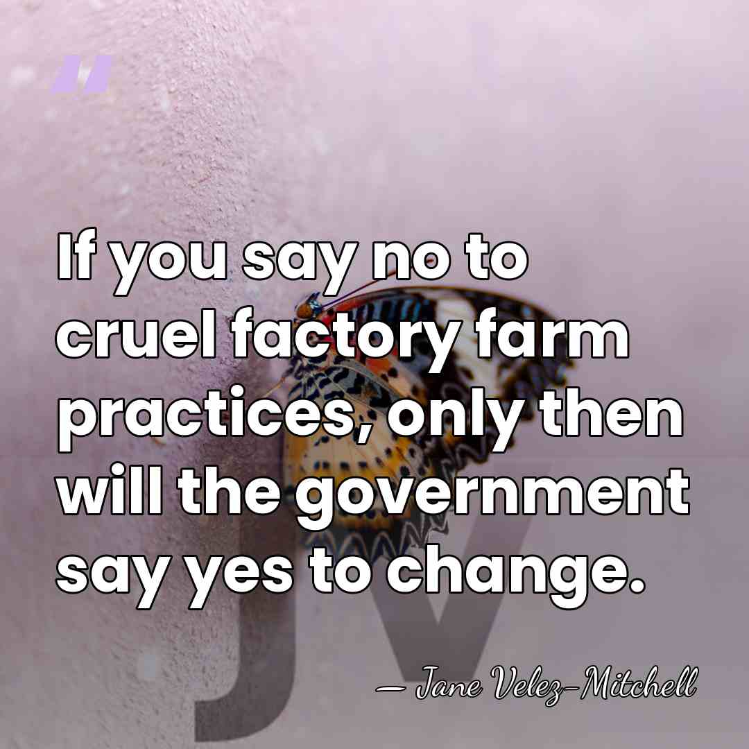 If you say no to cruel factory farm practices, only then will&hellip; - Jane Velez-Mitchell