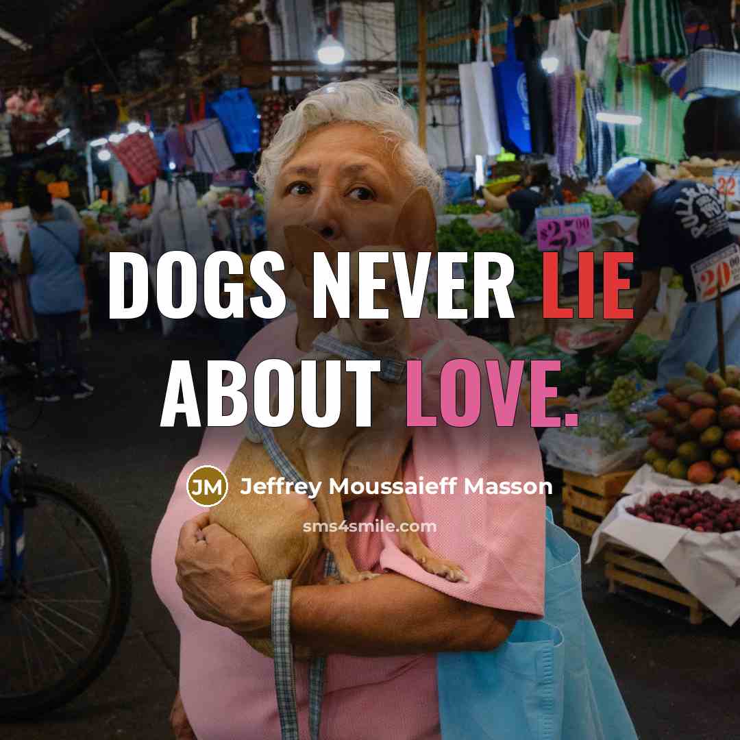 “Dogs never lie about love.…” quote by Jeffrey Moussaieff Masson