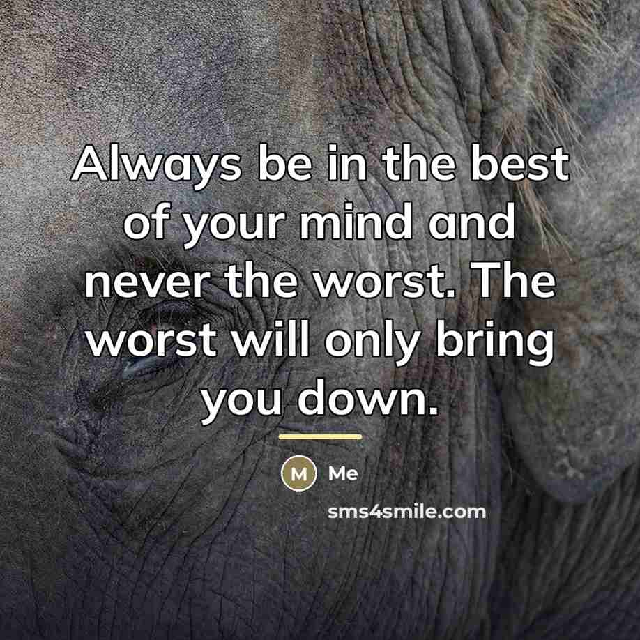 “Always be in the best of your mind and never…” quote by Me