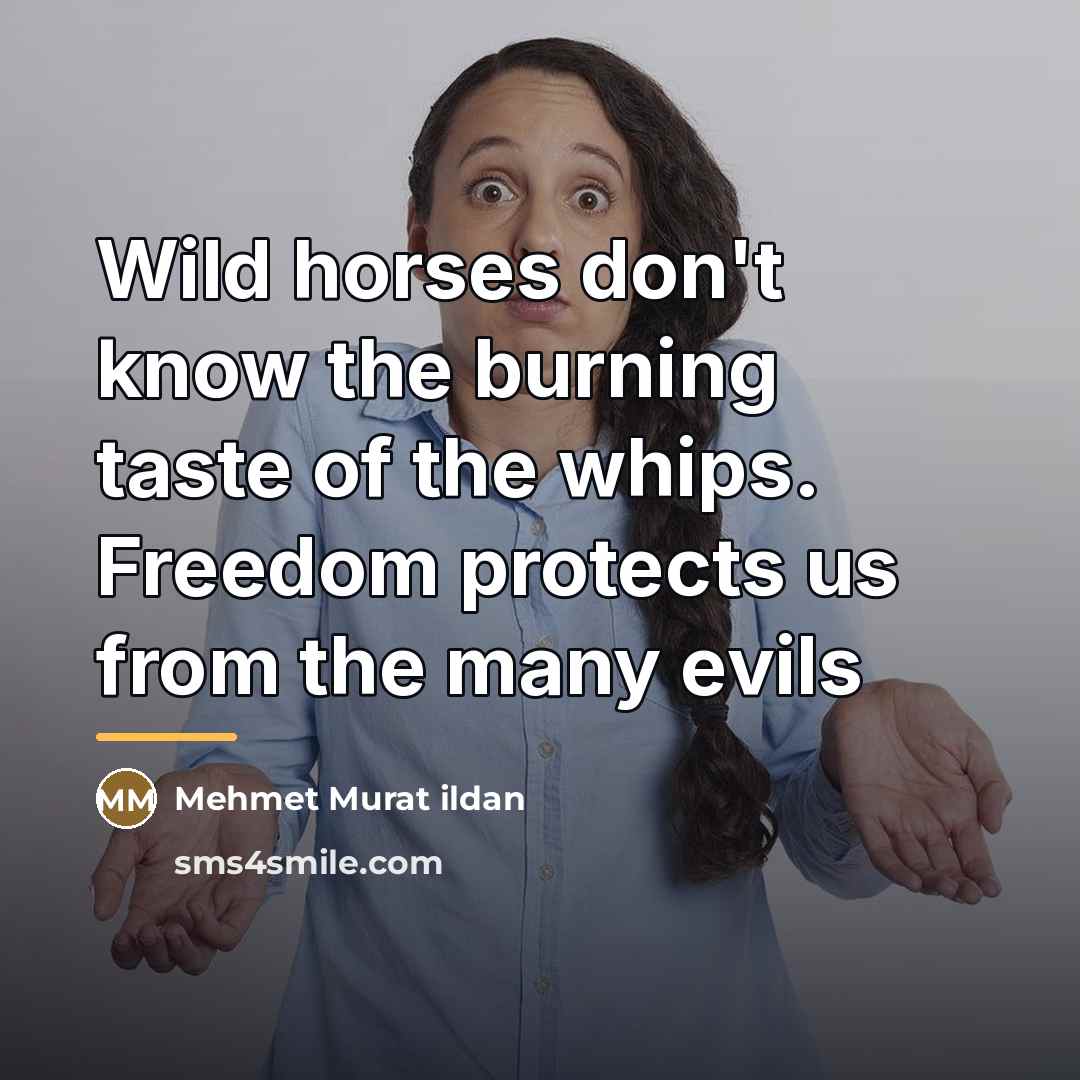 “Wild horses don't know the burning taste of the whips.…” quote by Mehmet Murat Ildan