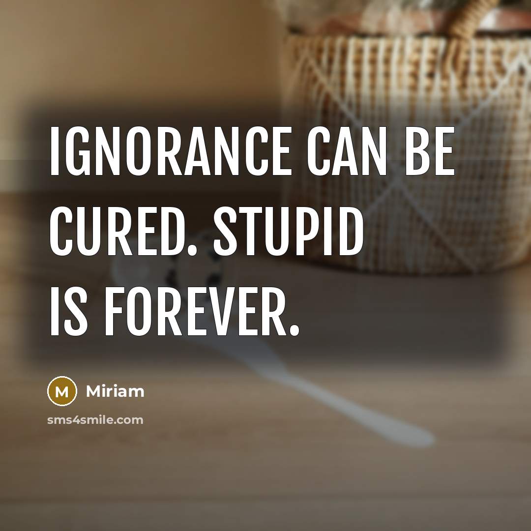 “Ignorance can be cured. Stupid is forever.…” quote by Miriam