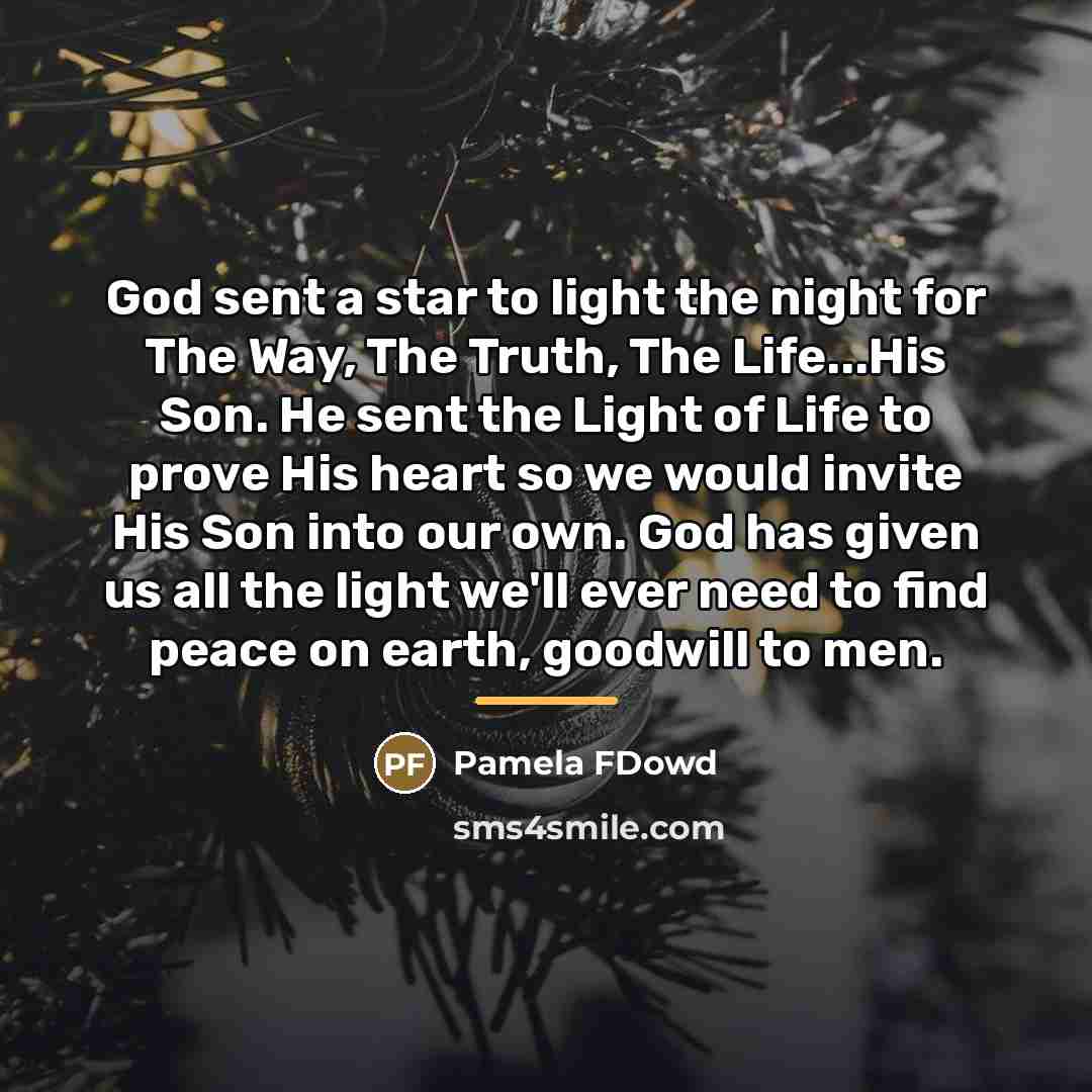 “God sent a star to light the night for The…” quote by Pamela FDowd