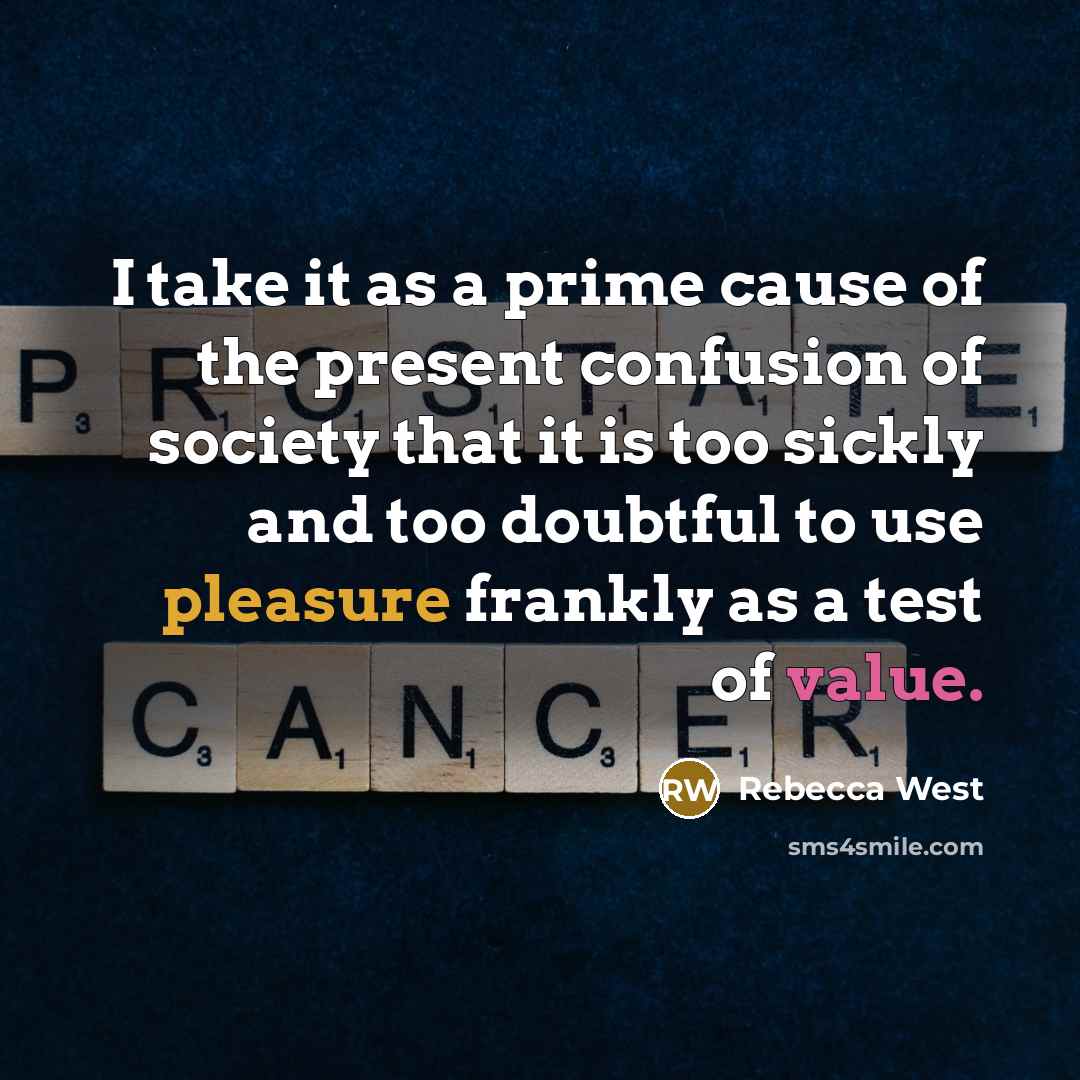 “I take it as a prime cause of the present…” quote by Rebecca West