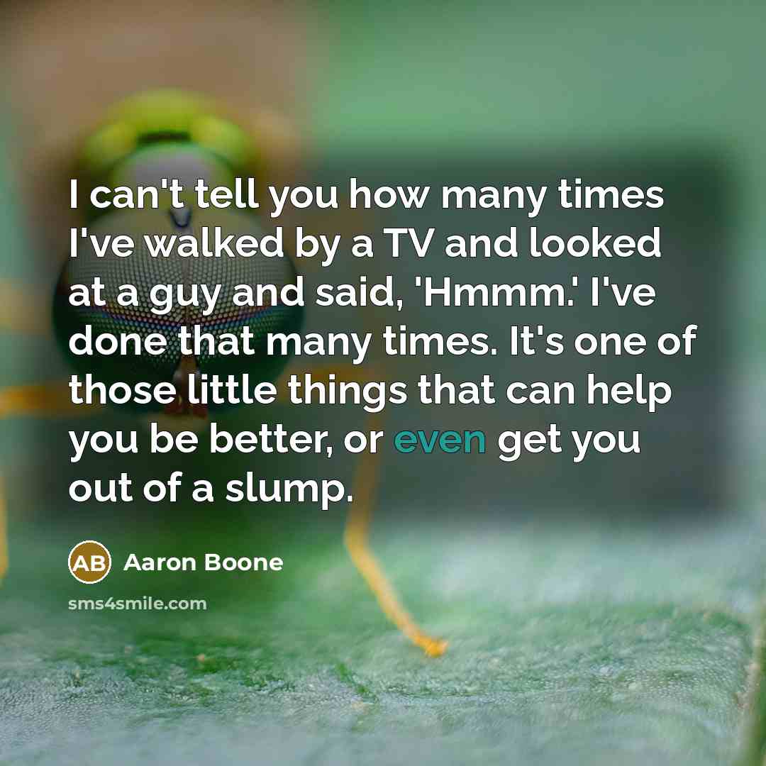 “I can't tell you how many times I've walked by…” quote by Aaron Boone
