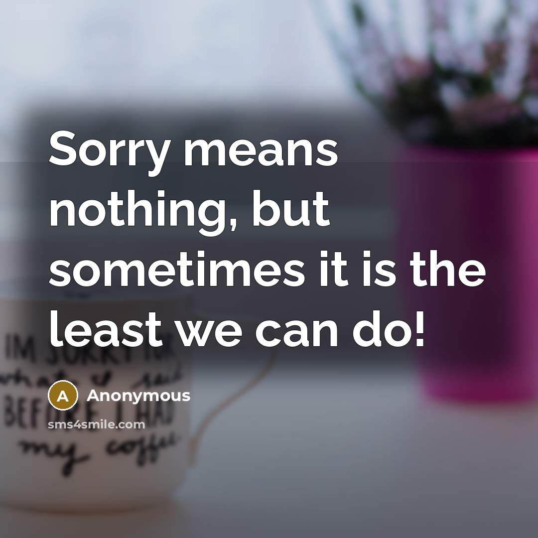“Sorry means nothing, but sometimes it is the least we can do!” quote by Anonymous