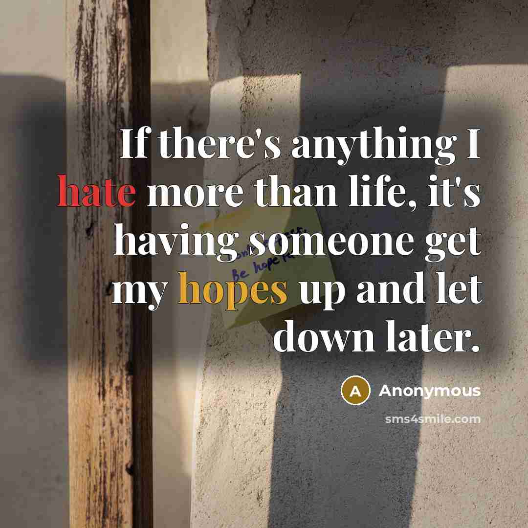 “If there's anything I hate more than life, it's having someone get my hopes up and let down later.” quote by Anonymous