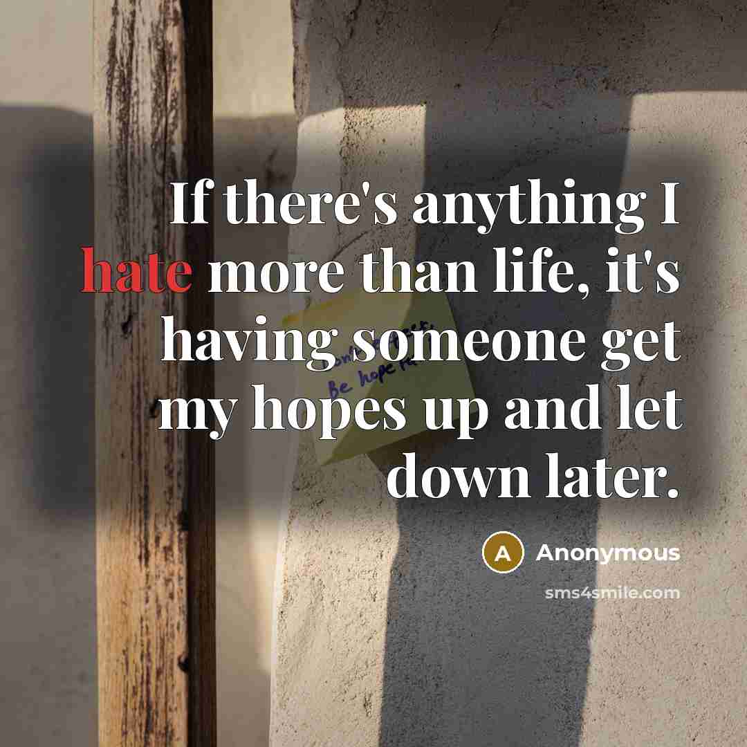“If there's anything I hate more than life, it's having someone get my hopes up and let down later.” quote by Anonymous
