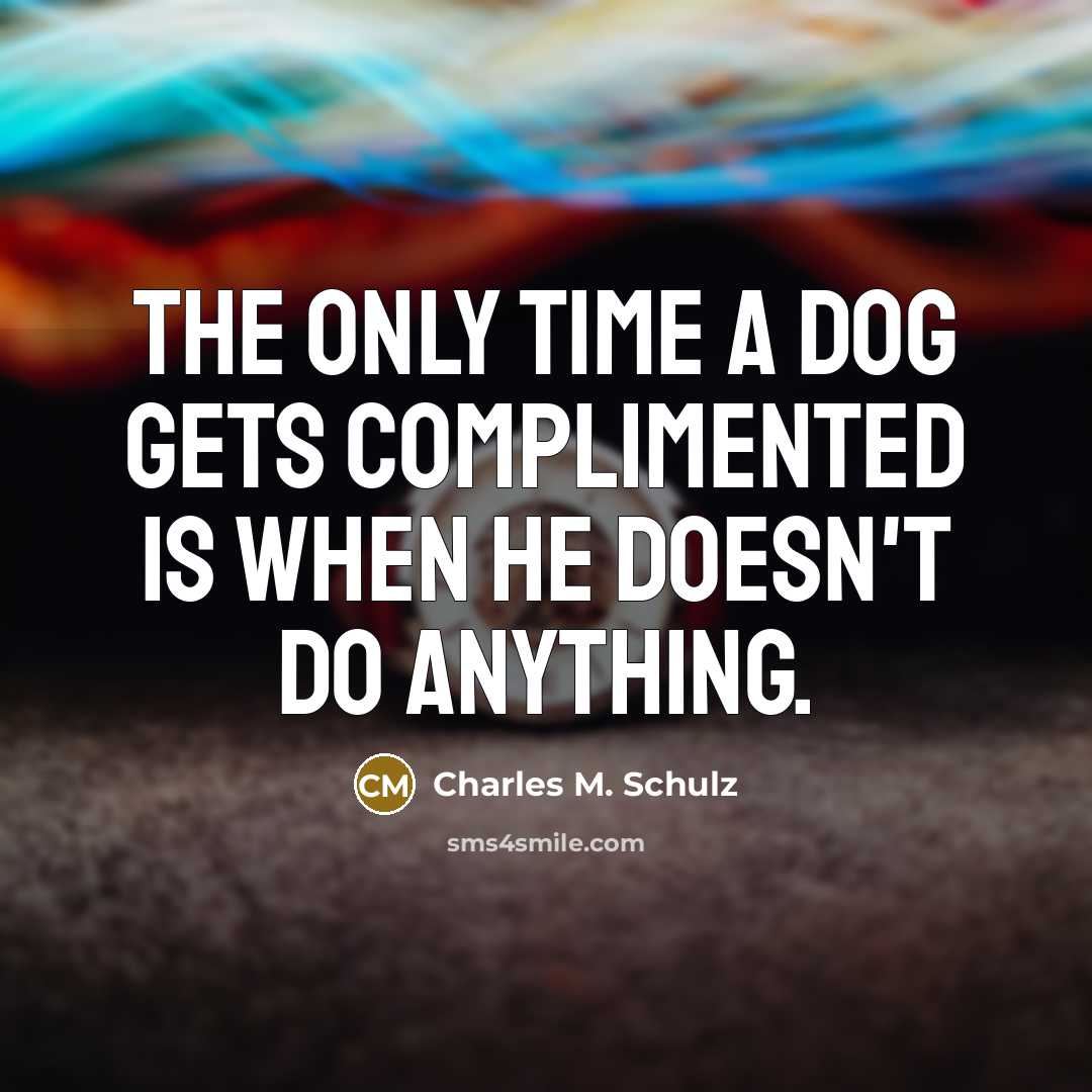 “The only time a dog gets complimented is when he…” quote by Charles M. Schulz