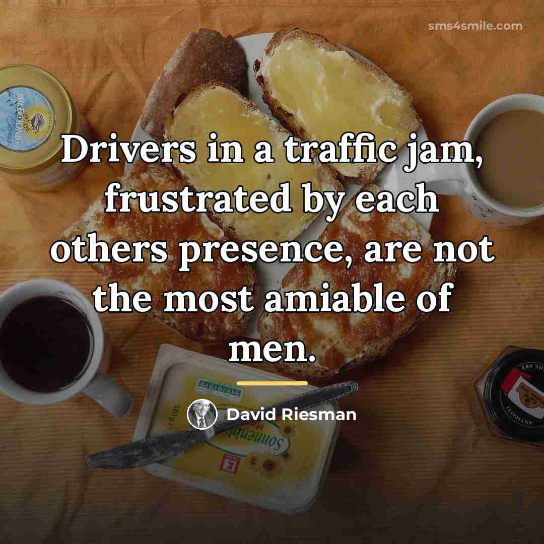 “Drivers in a traffic jam, frustrated by each others presence,…” quote by David Riesman