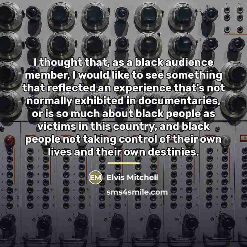 “I thought that, as a black audience member, I would…” quote by Elvis Mitchell