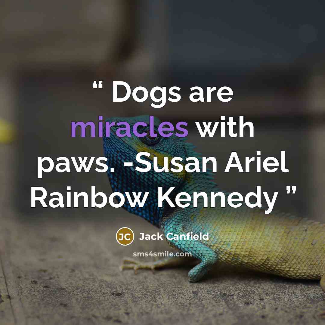 “Dogs are miracles with paws. -Susan Ariel Rainbow Kennedy” quote by Jack Canfield