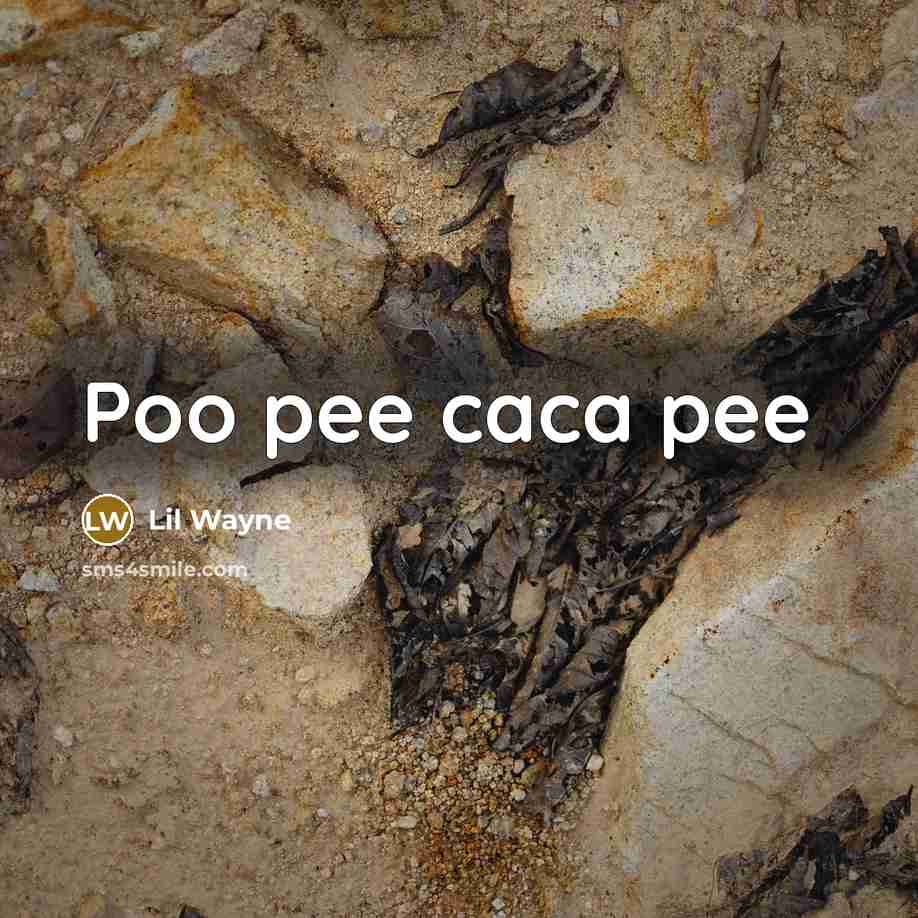 “Poo pee caca pee” quote by Lil Wayne