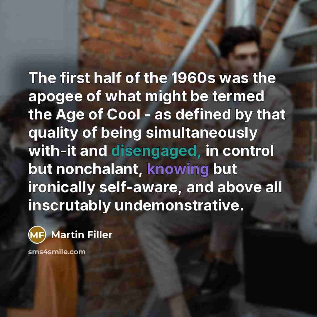 “The first half of the 1960s was the apogee of…” quote by Martin Filler