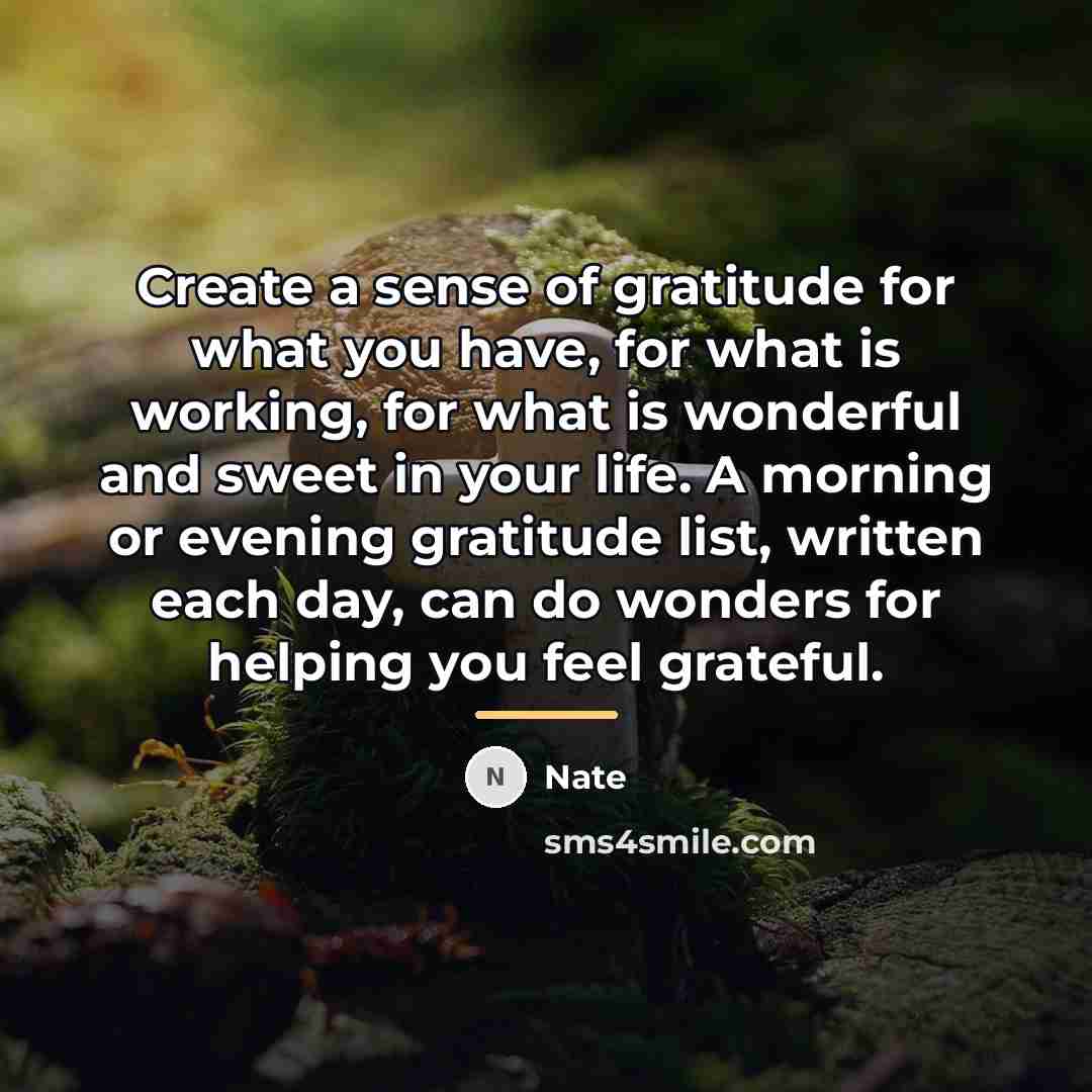 “Create a sense of gratitude for what you have, for…” quote by Nate