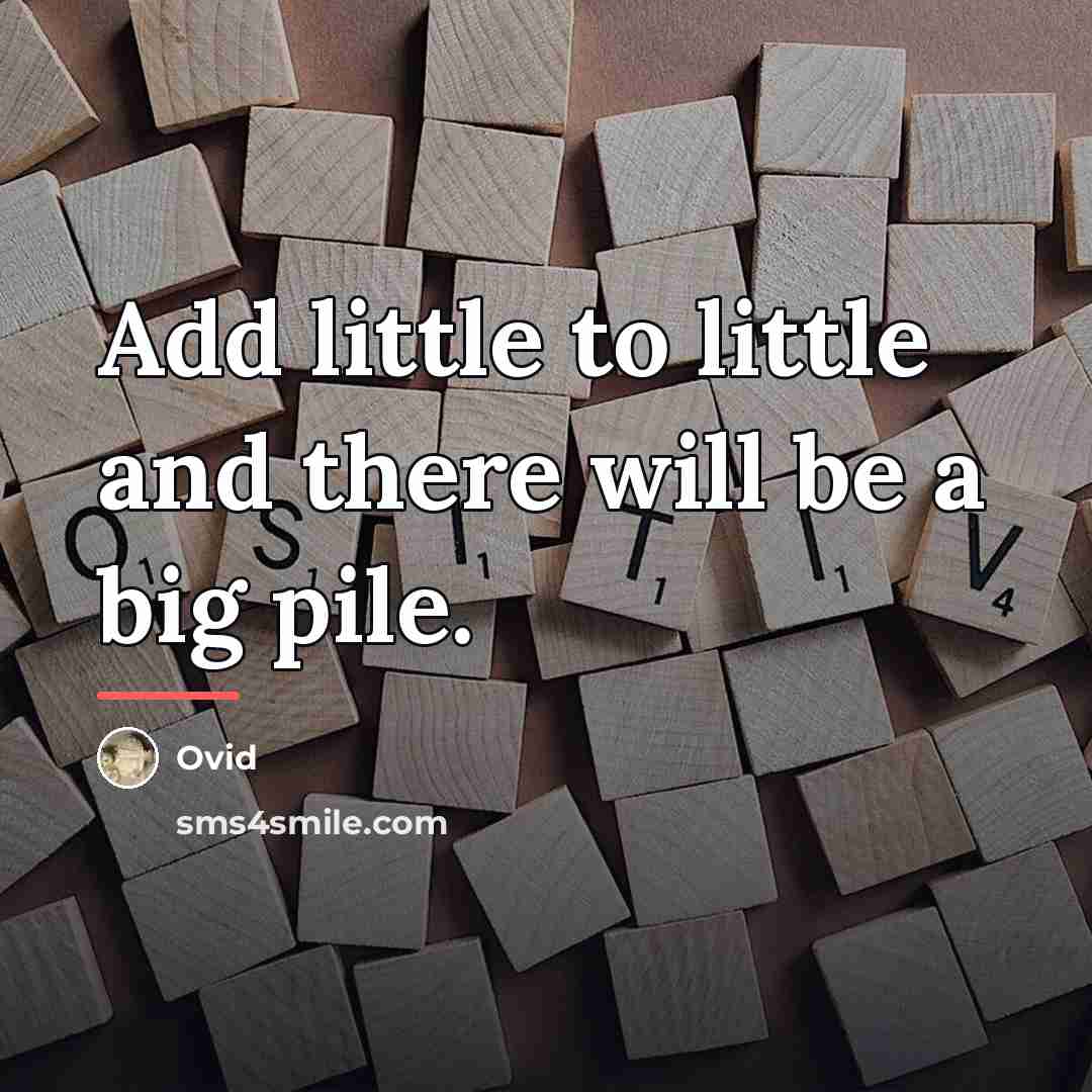 “Add little to little and there will be a big…” quote by Ovid