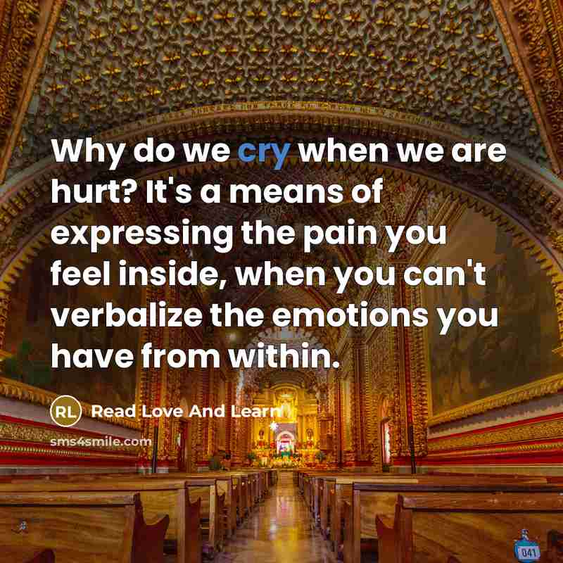 “Why do we cry when we are hurt? It's a means of expressing the pain you feel inside, when you can't verbalize the emotions you have from within.” quote by Read Love And Learn