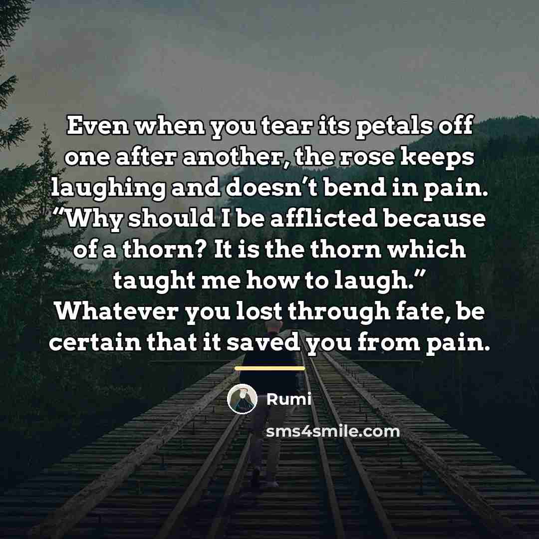 “Even when you tear its petals off one after another,…” quote by Rumi