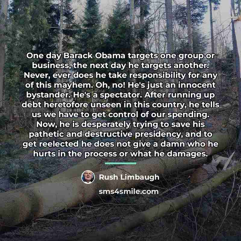 “One day Barack Obama targets one group or business, the…” quote by Rush Limbaugh