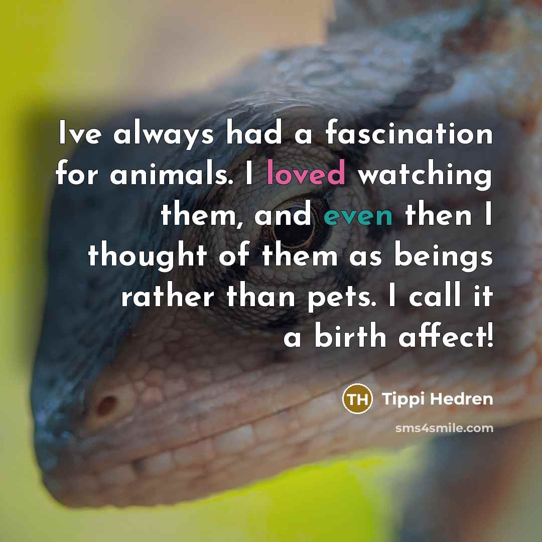 “Ive always had a fascination for animals. I loved watching…” quote by Tippi Hedren