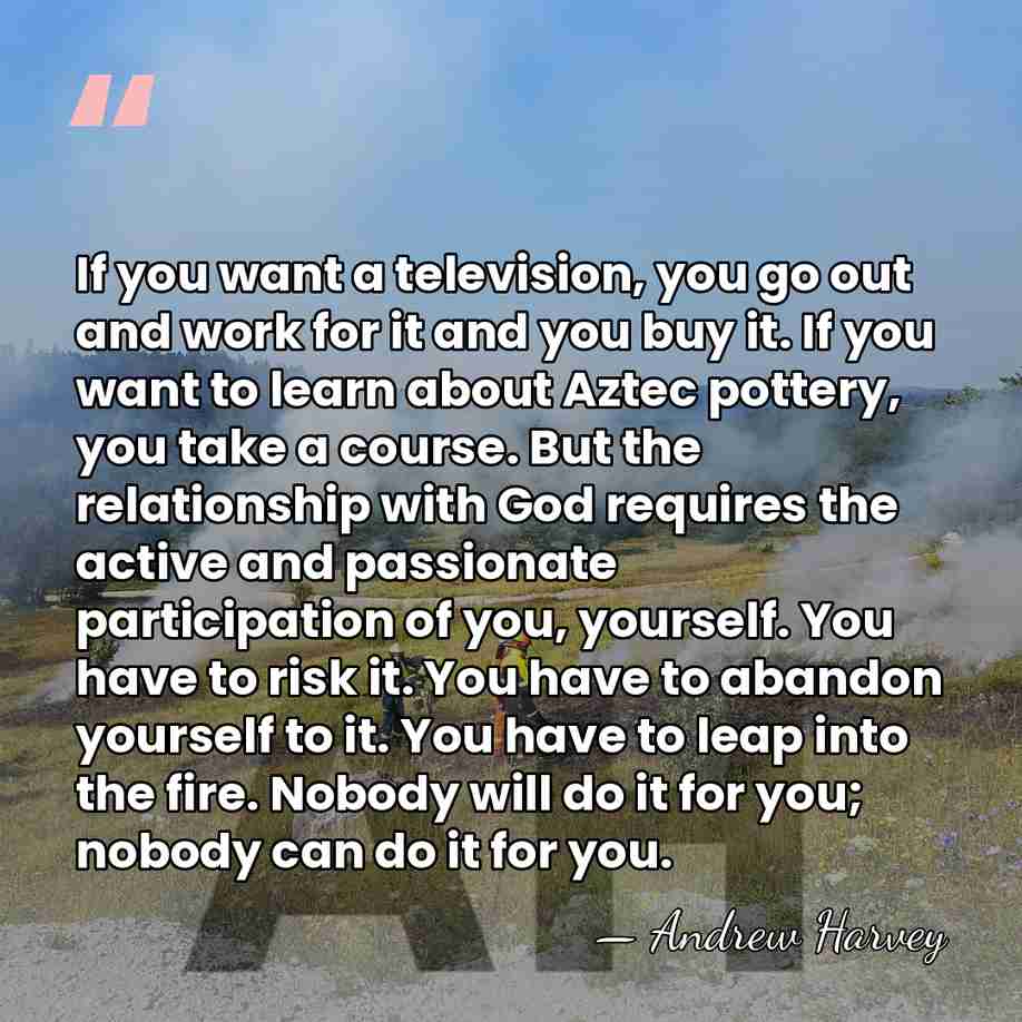 If you want a television, you go out and work for it&hellip; - Andrew Harvey