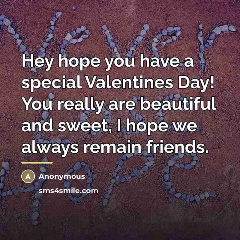 “Hey hope you have a special Valentines Day! You really…” quote by Anonymous